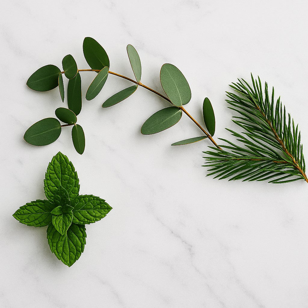 Revive Aromaterapi Gåvoset med Ekologiska Eteriska Oljor