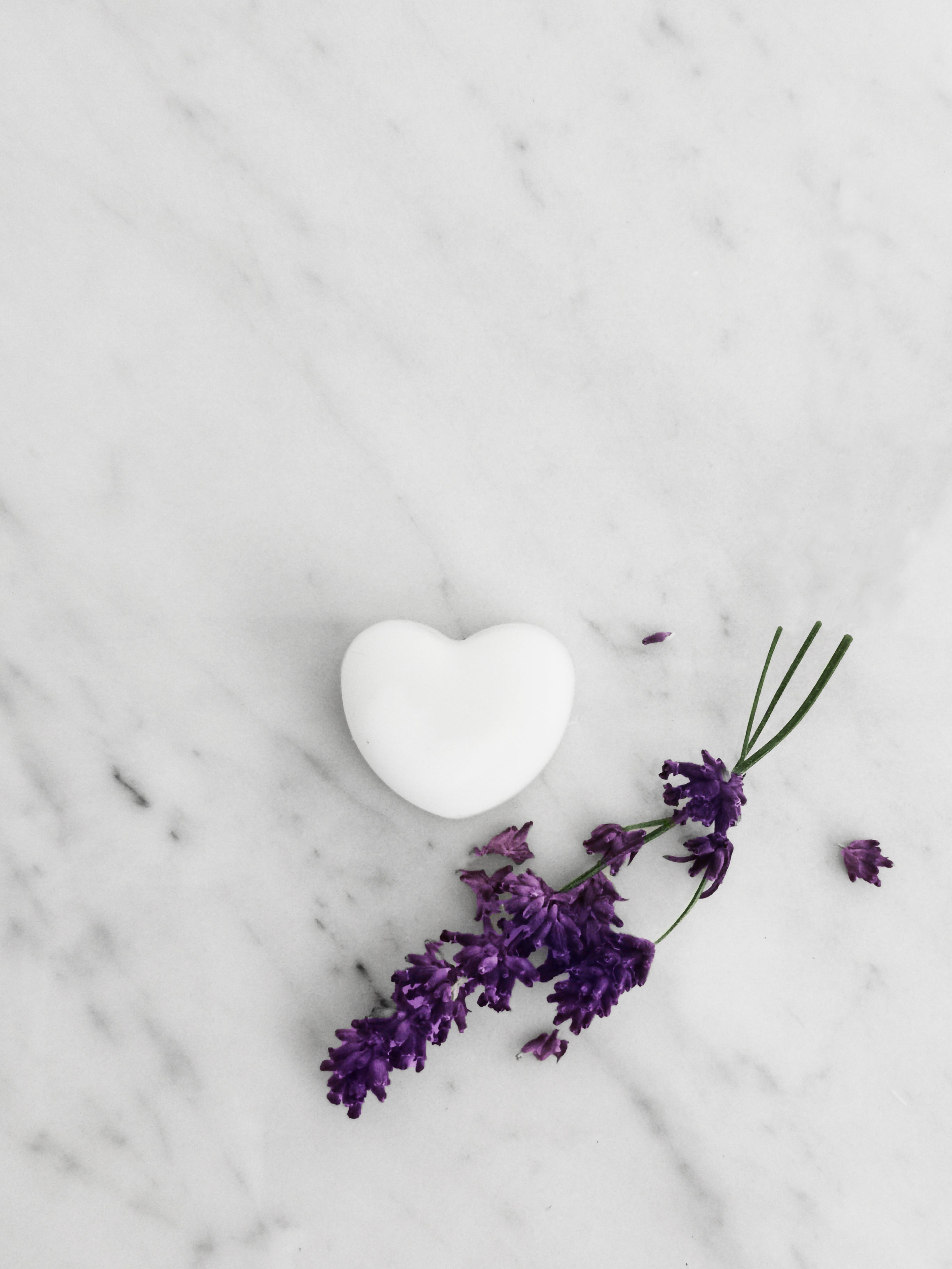 Aromaterapi Smältvaxkakor med Lavendel & Ylang Ylang – Naturligt Doftsatta