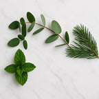 Revive Aromaterapi Gåvoset med Ekologiska Eteriska Oljor